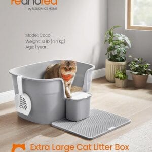 Katino kraiko dėžė