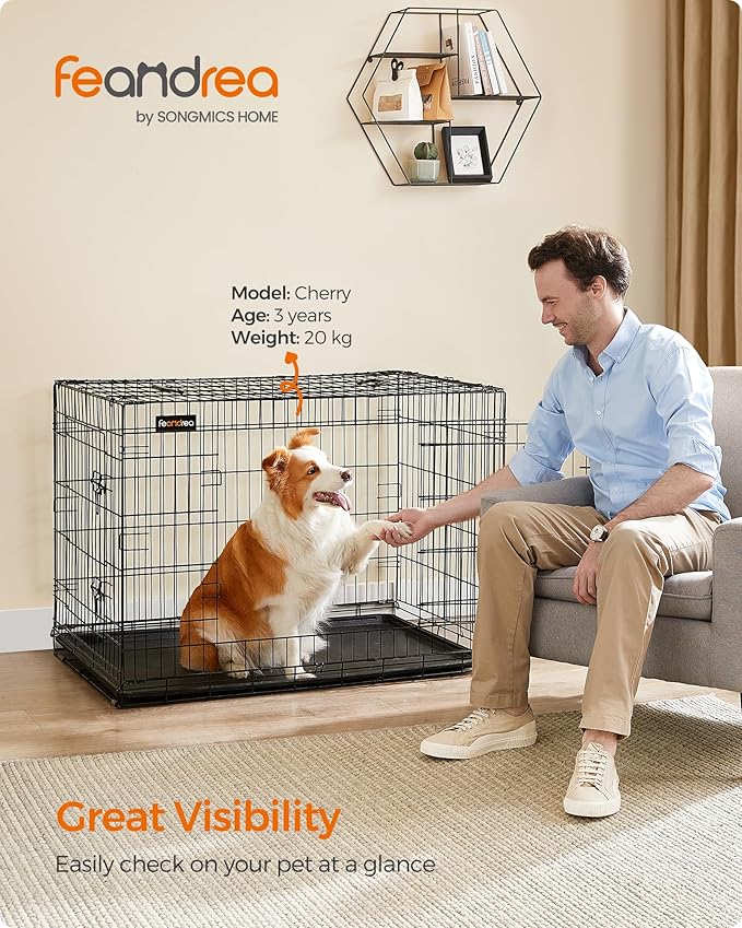 narvas augintiniui.jpg1 narvas augintiniui.jpg1