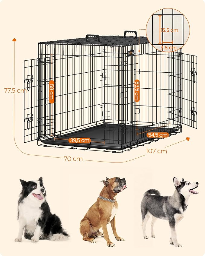 narvas augintiniui.jpg2 narvas augintiniui.jpg2