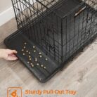 narvas augintiniui.jpg3